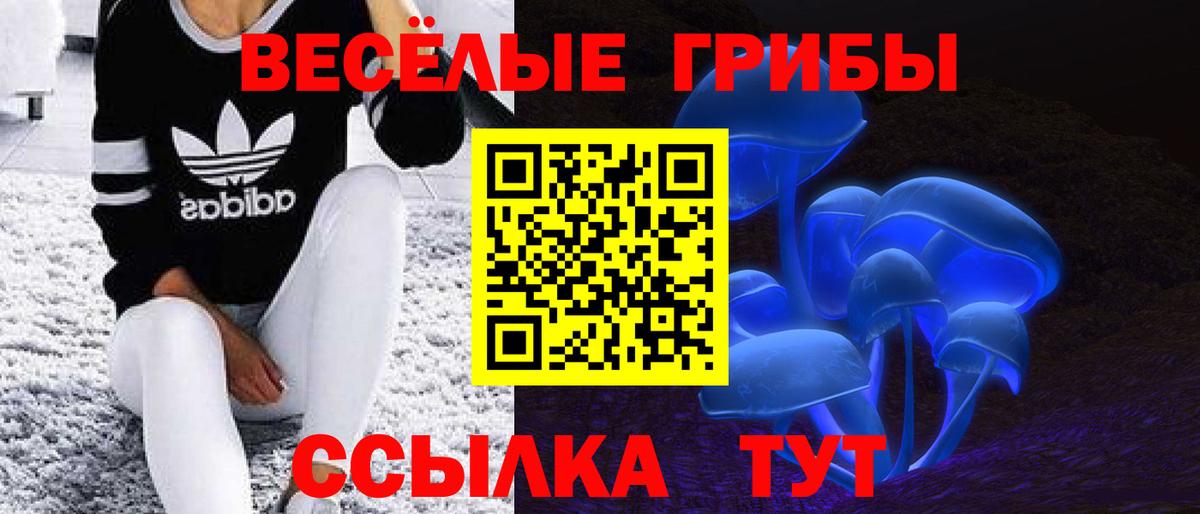Галлюциногенные грибы Cubensis Клинцы